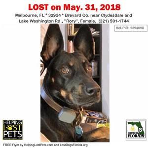 Meet your Posher, Meagan